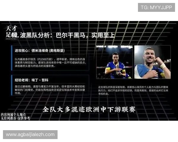 世界杯瑞士VS波黑比赛现场氛围及观赛指南详细介绍赛事亮点