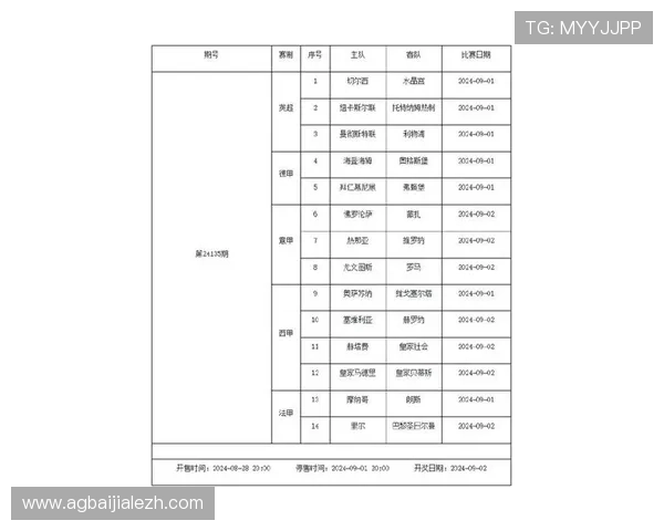 世界杯瑞士波黑比赛购票渠道全攻略，帮助球迷快速获取比赛门票